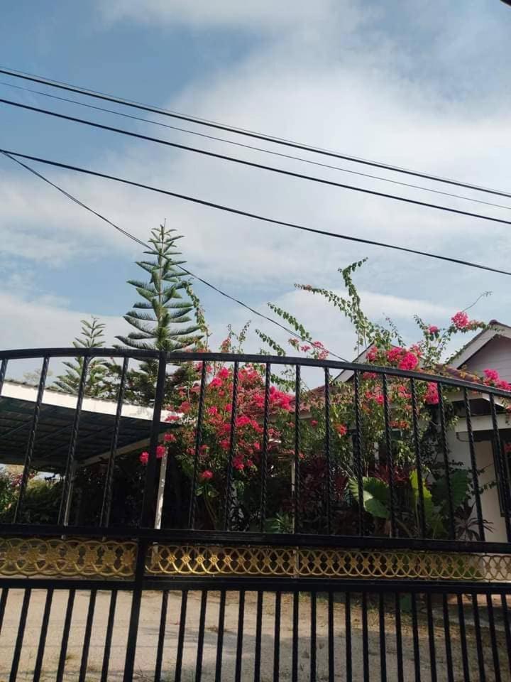 Langkawi Homestay Bunga Padi Kuah Kültér fotó