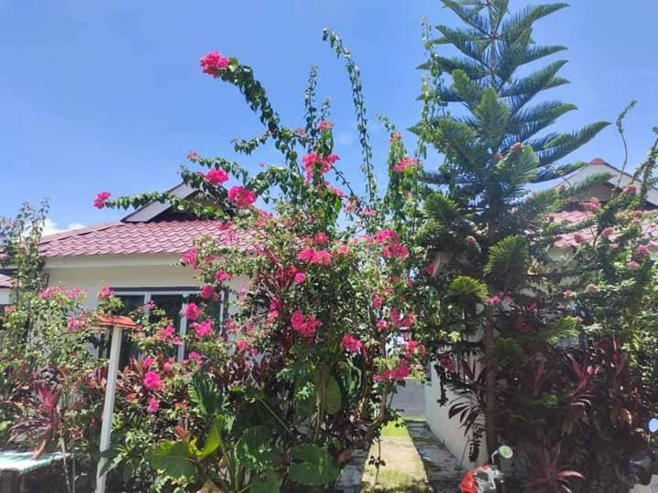 Langkawi Homestay Bunga Padi Kuah Kültér fotó